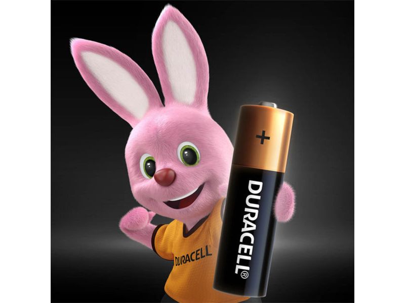 Bater-a-Alcalina-Duracell-Aa-4-Mas-2-Unidades-7-7110