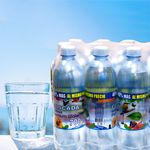 12-Pack-Agua-Cascada-700Ml-5-2861