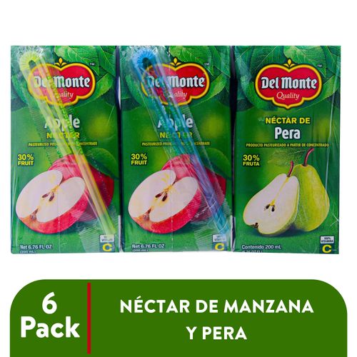 Nectar Del Monte Surtido 6Pack 200 ml