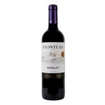 Vino-Tinto-Frontera-Merlot-750-Ml-2-6742