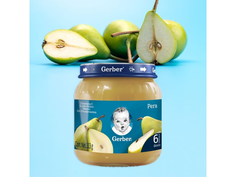 Gerber-Paso-2-Pure-Pera-24-113gr-N1-Xp-5-21530