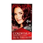 Tinte-Colorsilk-Borgona-48-130ml-2-2779