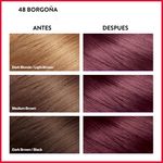 Tinte-Colorsilk-Borgona-48-130ml-4-2779