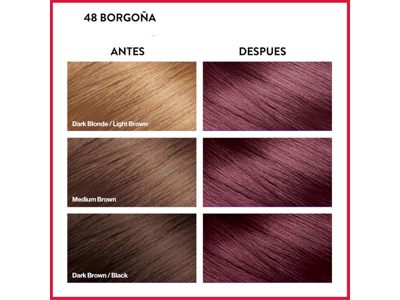 Tinte-Colorsilk-Borgona-48-130ml-4-2779