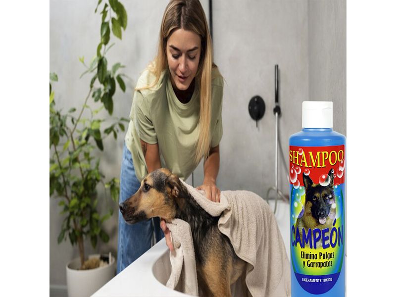 Shampoo-Campeon-Para-Perro-473Ml-4-3815