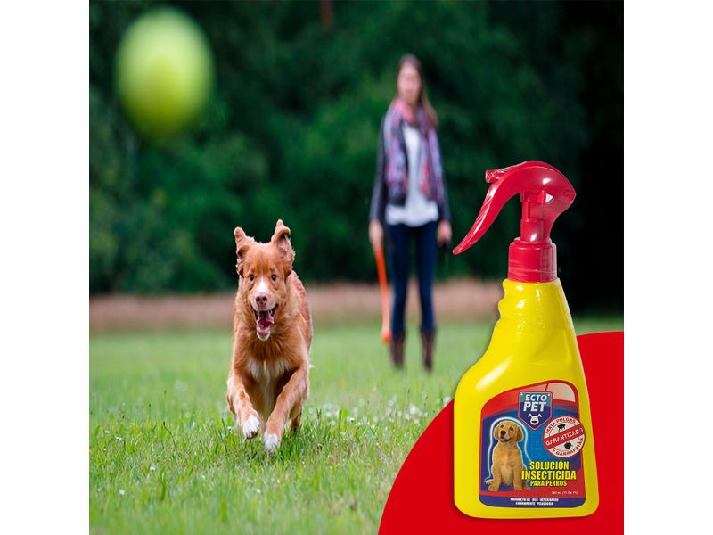 Spray-Pharmapec-Insecticidad-Para-Perro-1-Unidad-4-3831