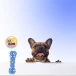 Ol-Roy-Juguete-Hueso-Azul-Vinyl-Toy-6-4-21448