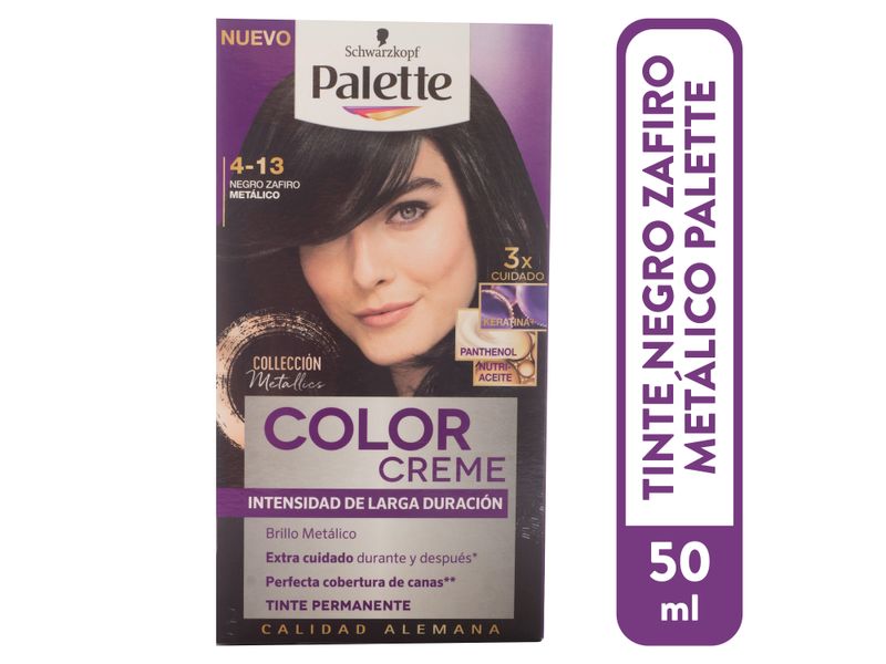 Tinte-Palette-Cc-4-13-Negro-Zaf-Metalico-1-13319