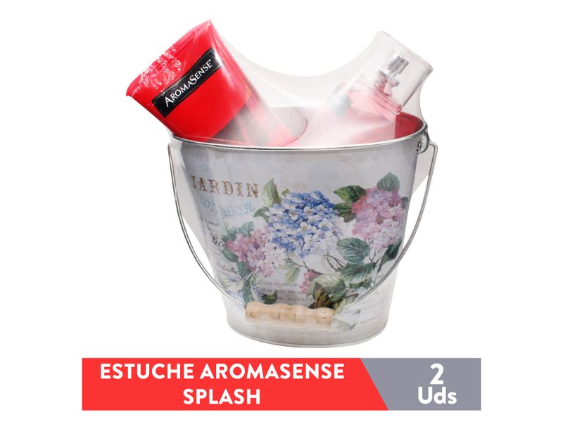 Estuche-Aroms-Splash-Mascrema-Roma-460ml-1-16614