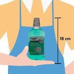 Enjuague-Bucal-Equate-Spring-Mint-500ml-4-11719