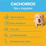 Alimento-Seco-Para-Cachorros-Pedigree-Res-y-Vegetales-4Kg-4-11369