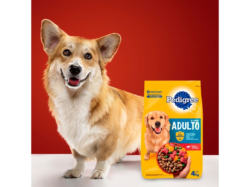 Alimento-Seco-Para-Perros-Adultos-Pedigree-Res-y-Vegetales-4Kg-11-11371