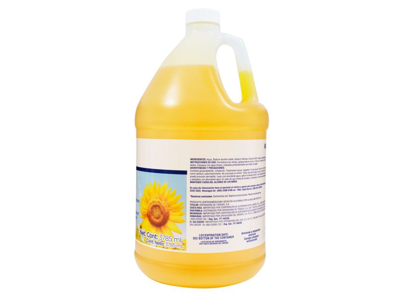 Jab-n-Liqu-do-Equate-Antibacterial-Girasol-3785ml-3-21732