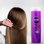 Shampoo-Sedal-Liso-Perfecto-340ml-4-1995