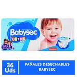 Pa-al-Babysec-Ultra-Master-Talla-Xg-36-Unidades-1-13206