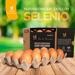 Huevo-Marron-Goldex-Selenio-Grande-15-Unidades-5-5826