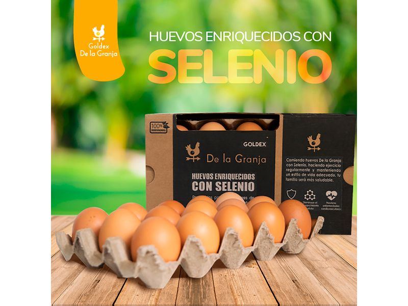 Huevo-Marron-Goldex-Selenio-Grande-15-Unidades-5-5826