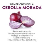 Cebolla-Morada-Libra-2-a-4-Unidades-Por-Lb-Aproximadamente-3-59