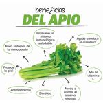 Apio-Hortifruti-Percio-Por-Lb-3-98