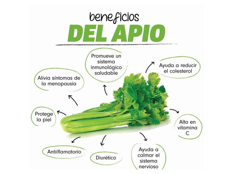 Apio-Hortifruti-Percio-Por-Lb-3-98