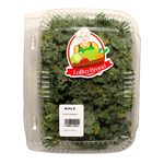 Kale-Clamshel-Unidad-2-12512