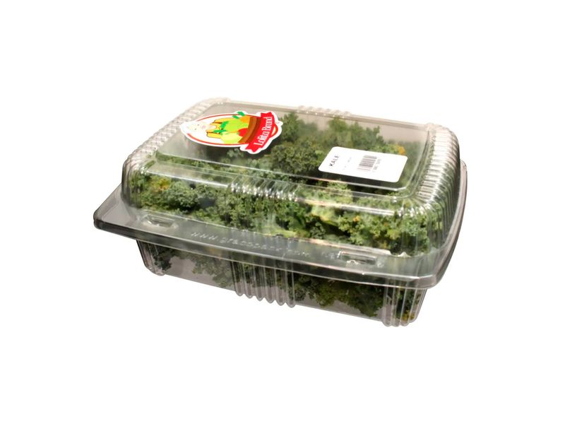 Kale-Clamshel-Unidad-3-12512