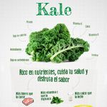 Kale-Clamshel-Unidad-4-12512