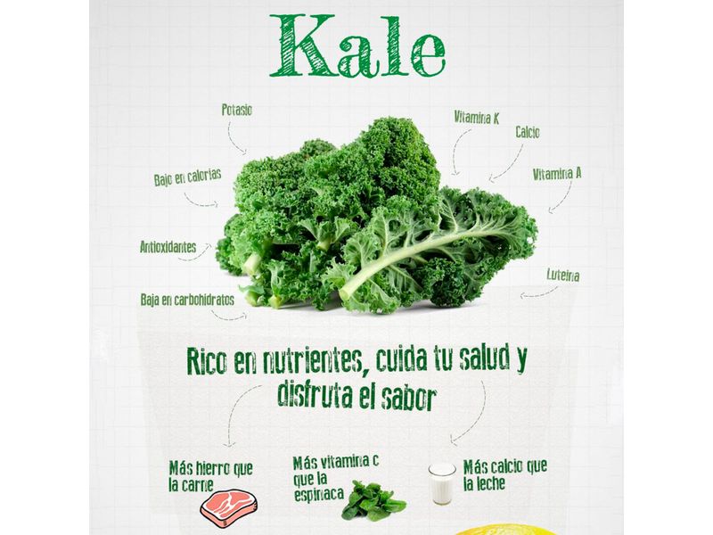 Kale-Clamshel-Unidad-4-12512