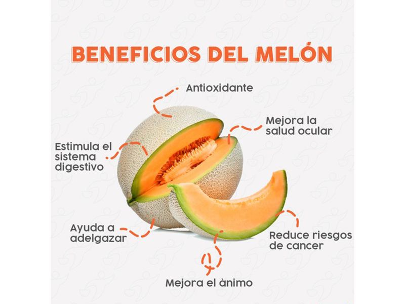 Melon-Hortifruti-Tipo-Cantaloupe-Precio-Por-Unidad-3-55