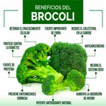 Brocoli-Hortifruti-Percio-Por-Lb-3-106