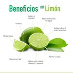 Limon-Persico-Unidad-2-107