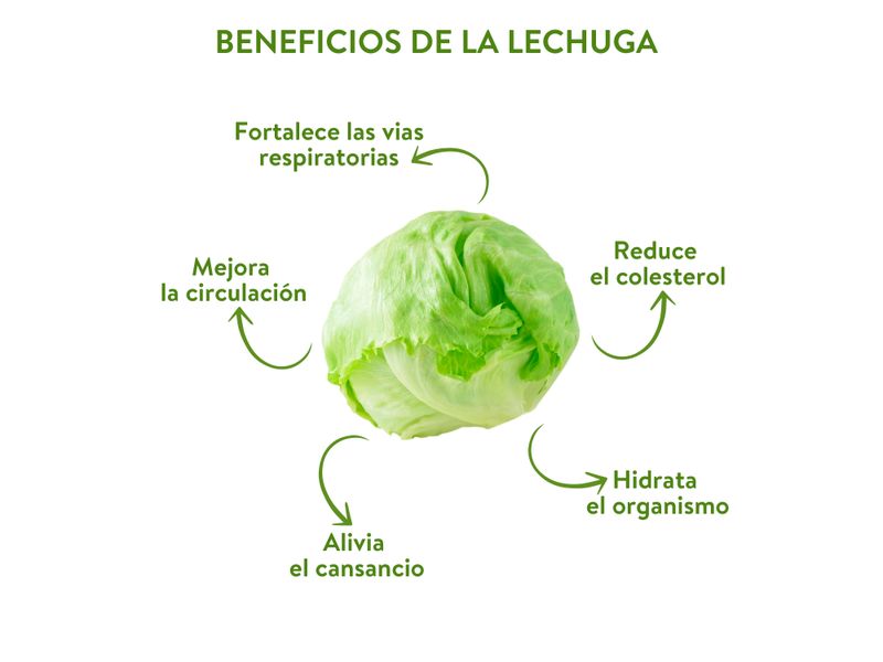 Lechuga-Hortifruti-Arrepollada-Percio-Por-Lb-3-116