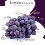 Uva-Negra-Hortifruti-Importada-Percio-Por-Lb-3-117