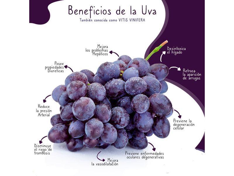 Uva-Negra-Hortifruti-Importada-Percio-Por-Lb-3-117