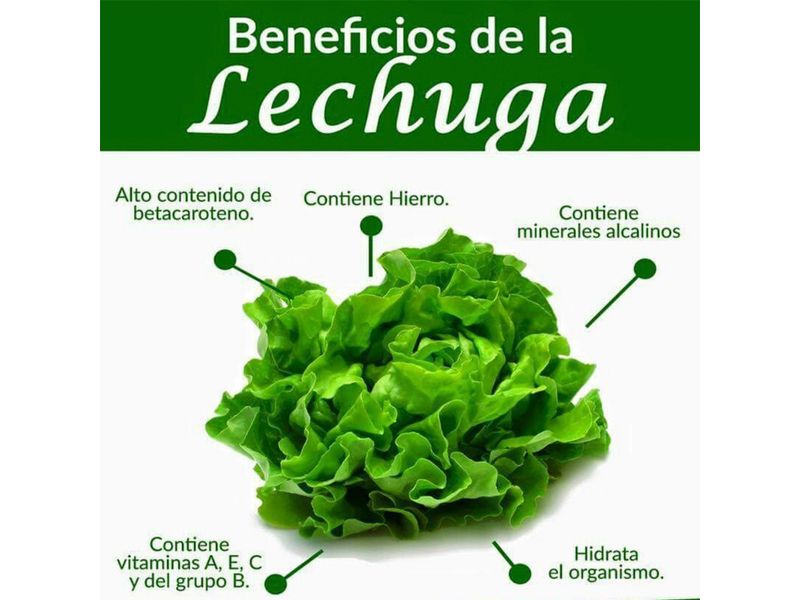 Lechuga-Escarola-Hurtifruti-Organica-8-Onzas-3-19487