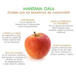 Manzana-Gala-Paquete-6-Unidades-3-12514
