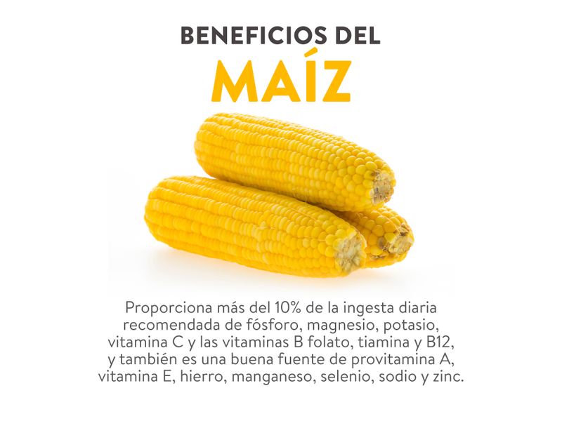 Maiz-Dulce-Amarillo-Bandeja-3-12521
