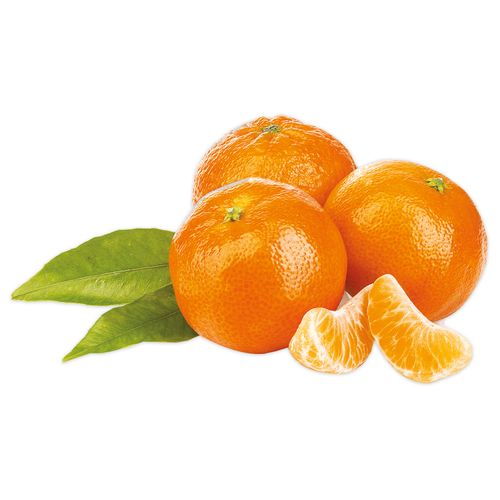 Mandarina Clementina Lb - 3 a 4 Unidades Por Lb Aproximadamente