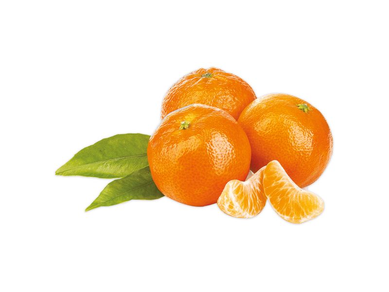 Mandarina-Clementina-Lb-3-a-4-Unidades-Por-Lb-Aproximadamente-1-43