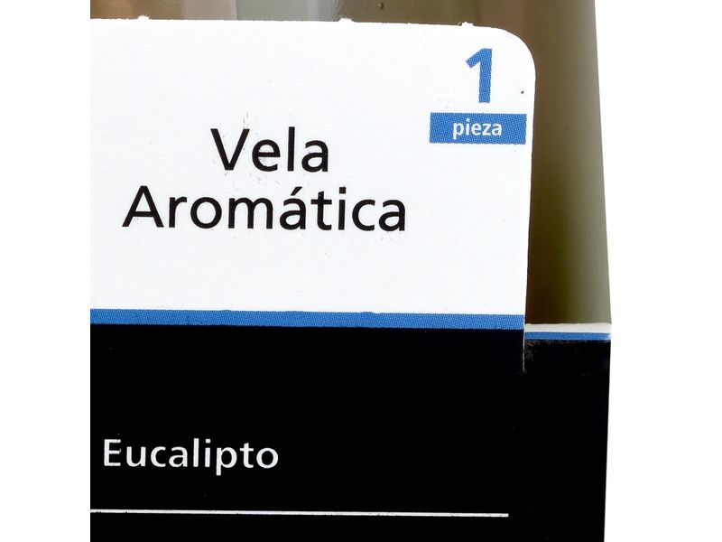 Novo-Aroma-Eucalipto-3-3403