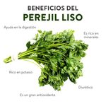 Perejil-Liso-Manojo-Unidad-4-10252