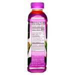 Bebida-Okf-Aloe-Vera-King-Uva-500ml-2-25621