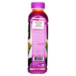 Bebida-Okf-Aloe-Vera-King-Uva-500ml-4-25621