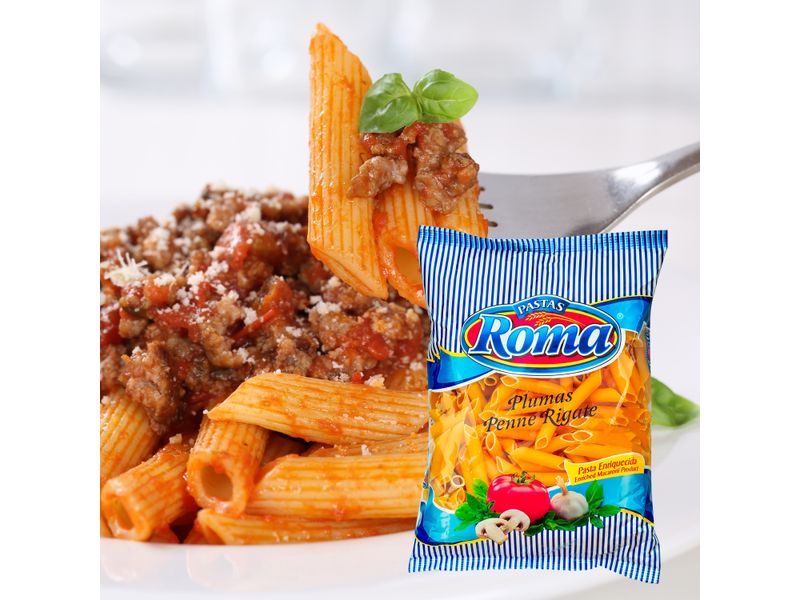 Pasta-Mediana-Roma-Plumas-Paquete-250gr-4-2833