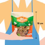 Granola-Del-Carmen-Avena-Manzana-300-gr-4-40052