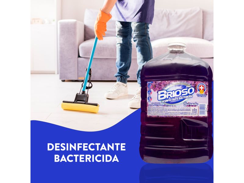 Desinfectante-Rodeo-Brioso-Con-Fragancia-A-Lavanda-3785ml-4-34659