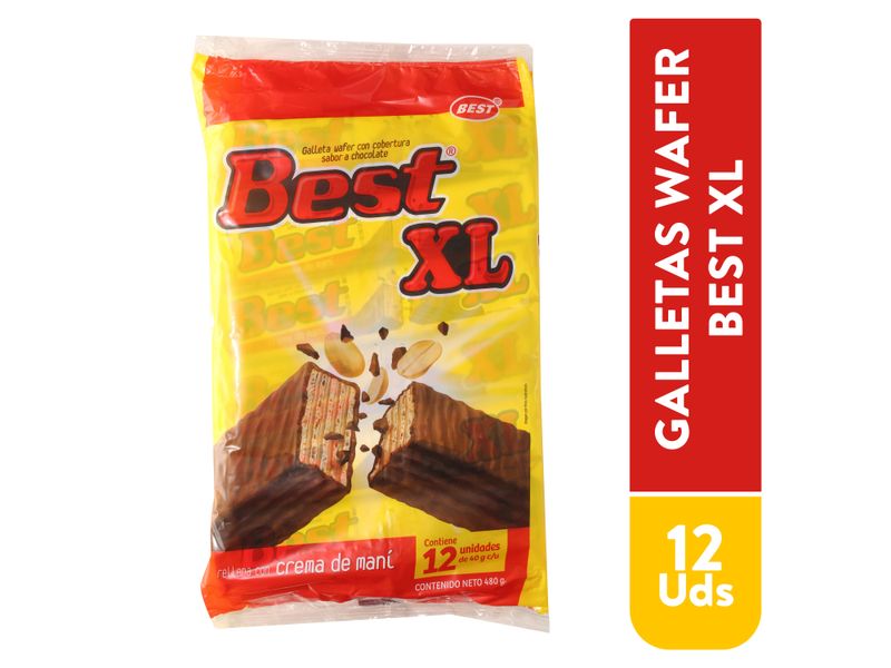 Galleta-Best-Xl-Crema-De-Mani-480gr-1-25278