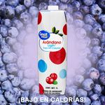 Bebida-Great-Value-Arandano-Light-1000ml-7-10975