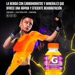 Hidratante-Gatorade-Sabor-A-Maracuya-600-ml-5-37408