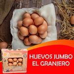 Huevo-Jumbo-El-Granjero-20unidades-5-25356